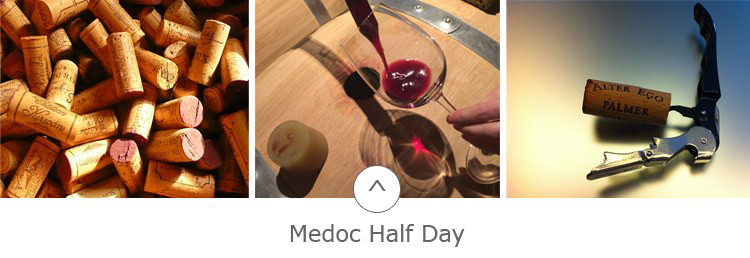 Medoc half day wine tour from Bordeaux